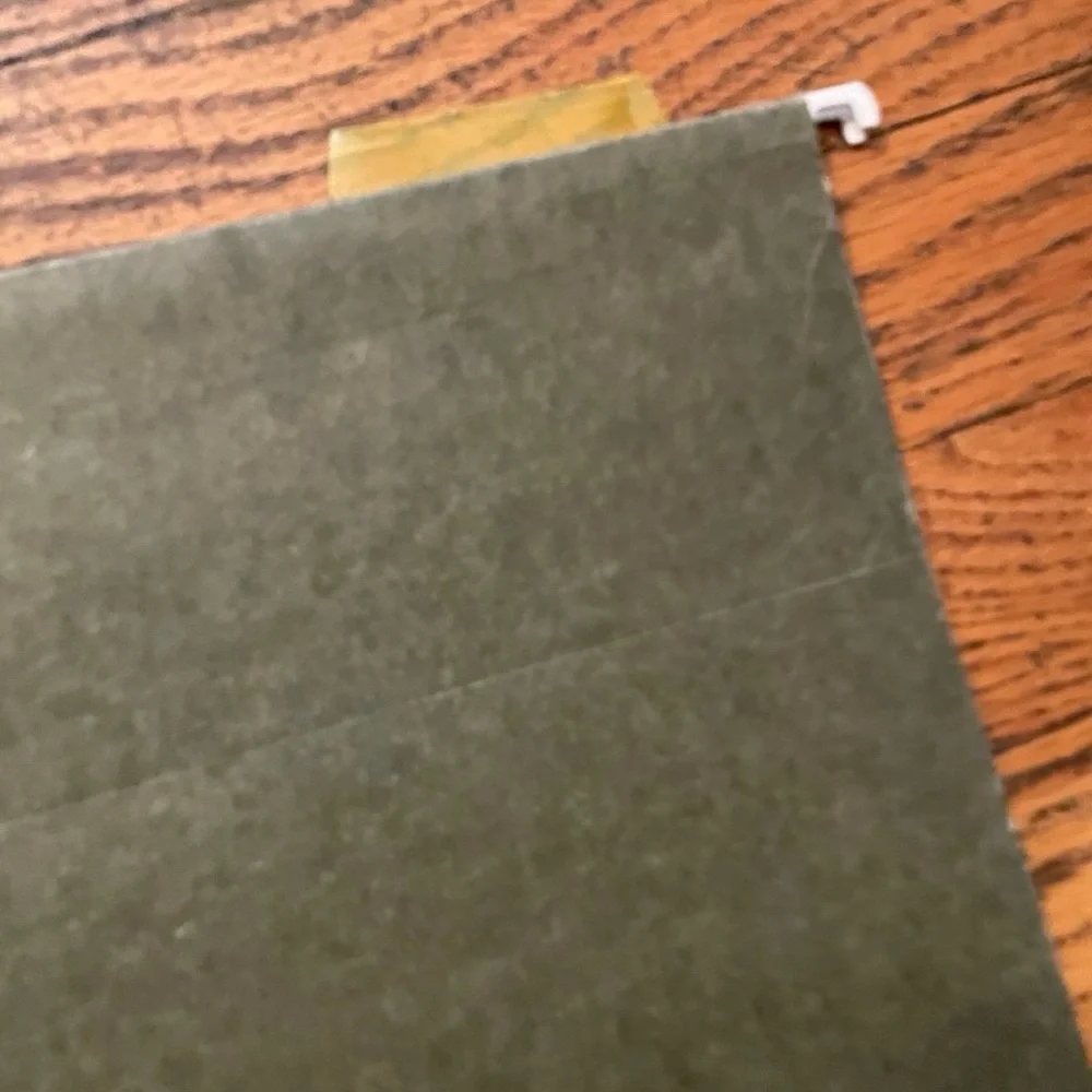 Vintage Hanging File Folders Green Dark Green